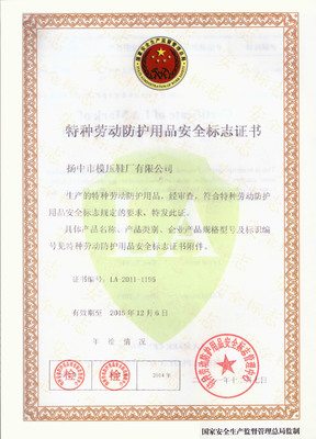 洪野牌安全防護(hù)鞋 模壓工藝打造堅(jiān)固防線，網(wǎng)絡(luò)技術(shù)服務(wù)賦能高效安全